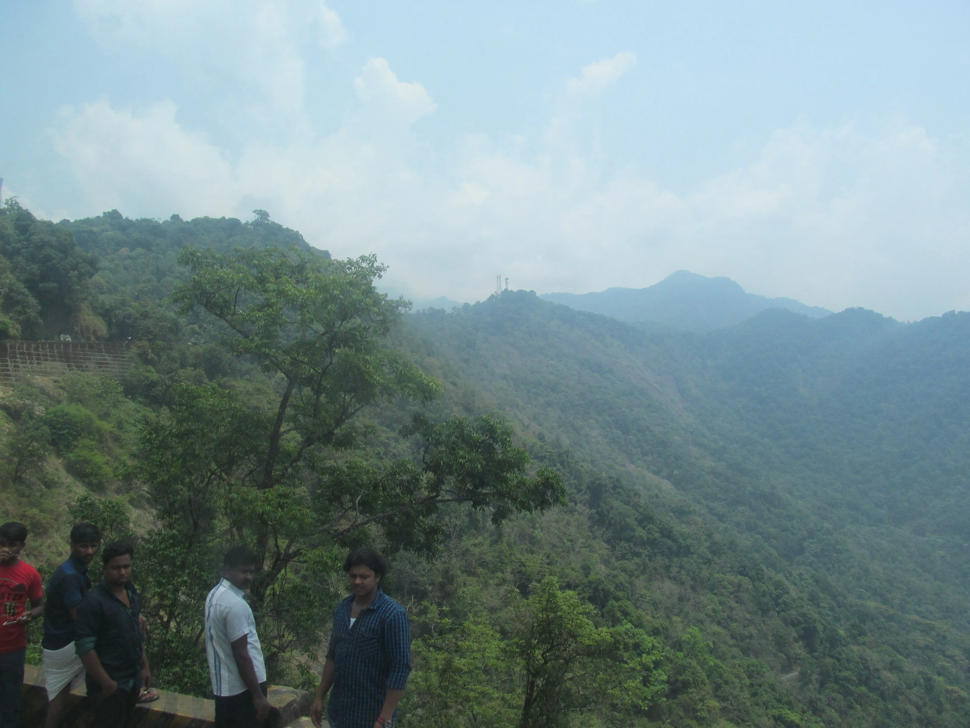 Misty Western Ghats forest ridgeline on a trekking trail in Wayanad, Kerala
