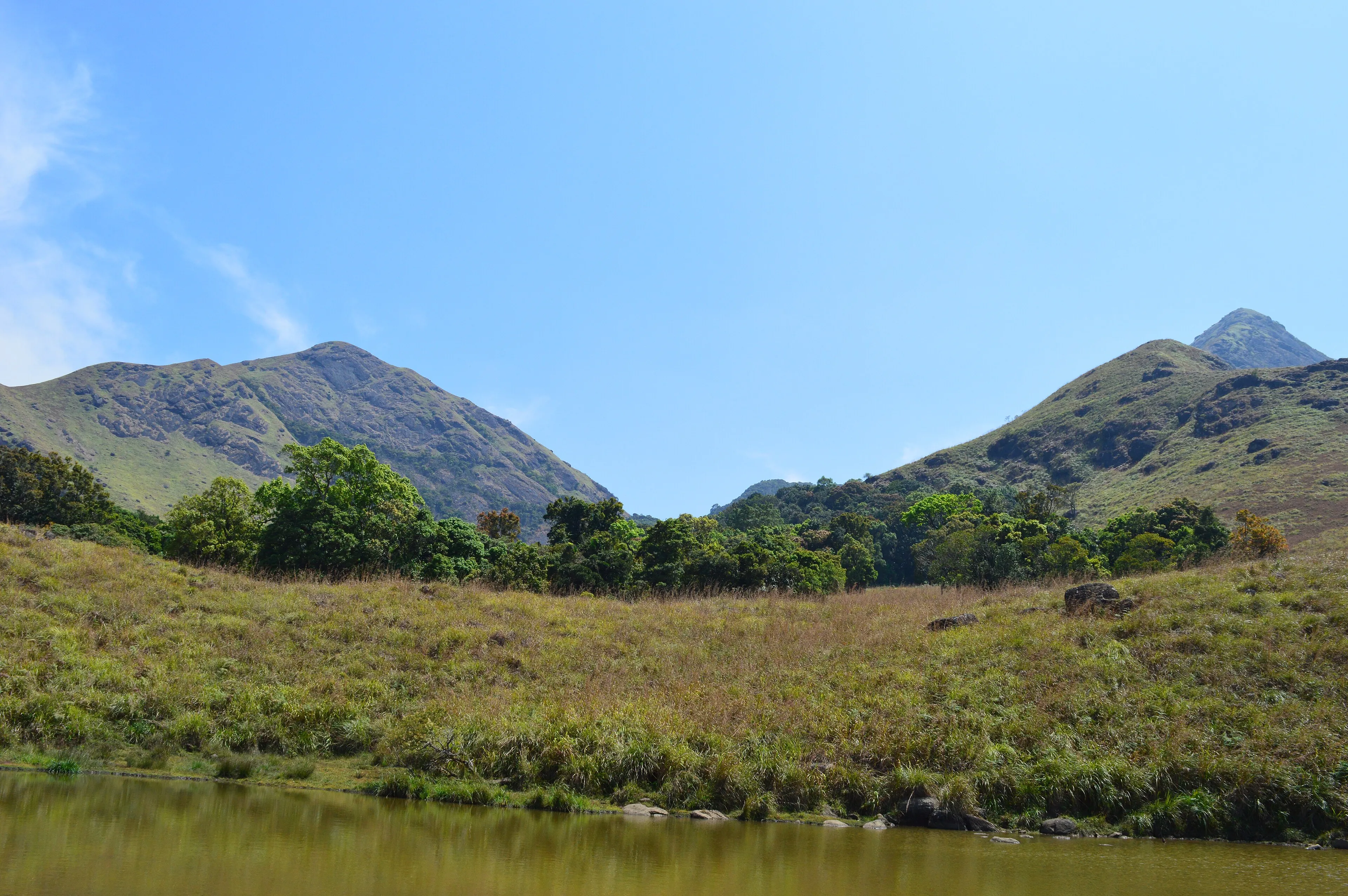 Misty Western Ghats forest ridgeline on the Cherumunderi Peak trail, Wayanad