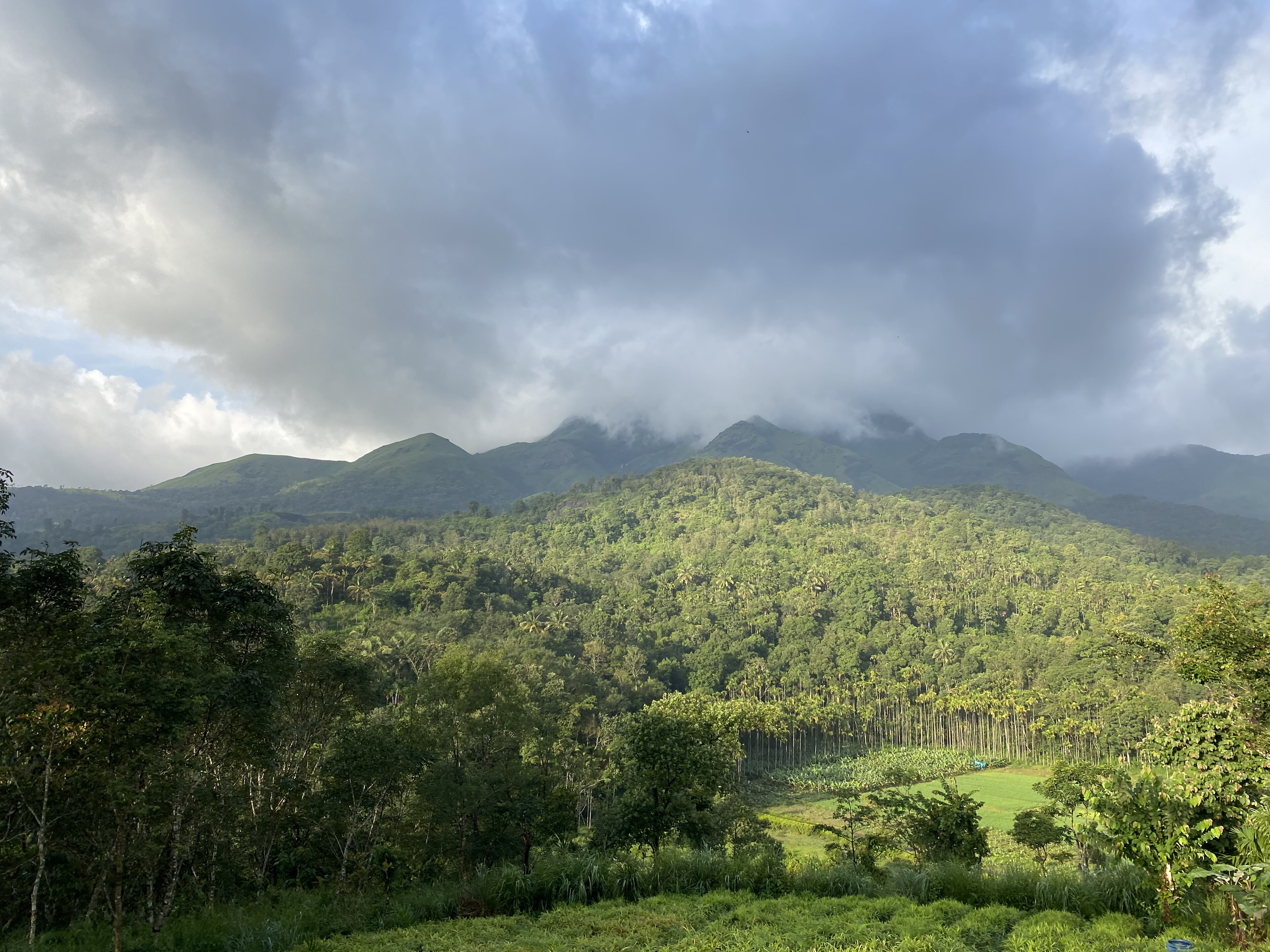Open jeep safari on a biodiversity trail in Wayanad, Kerala