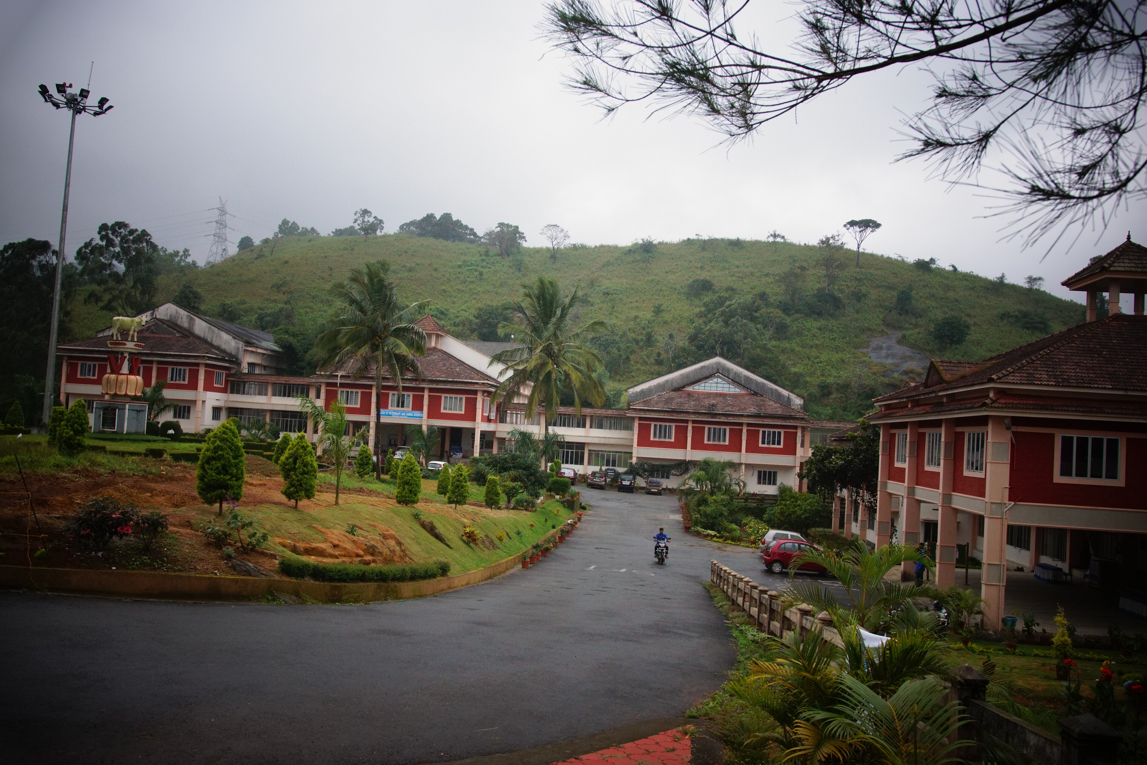 Pookode Lake ringed by green hills, Wayanad, Kerala