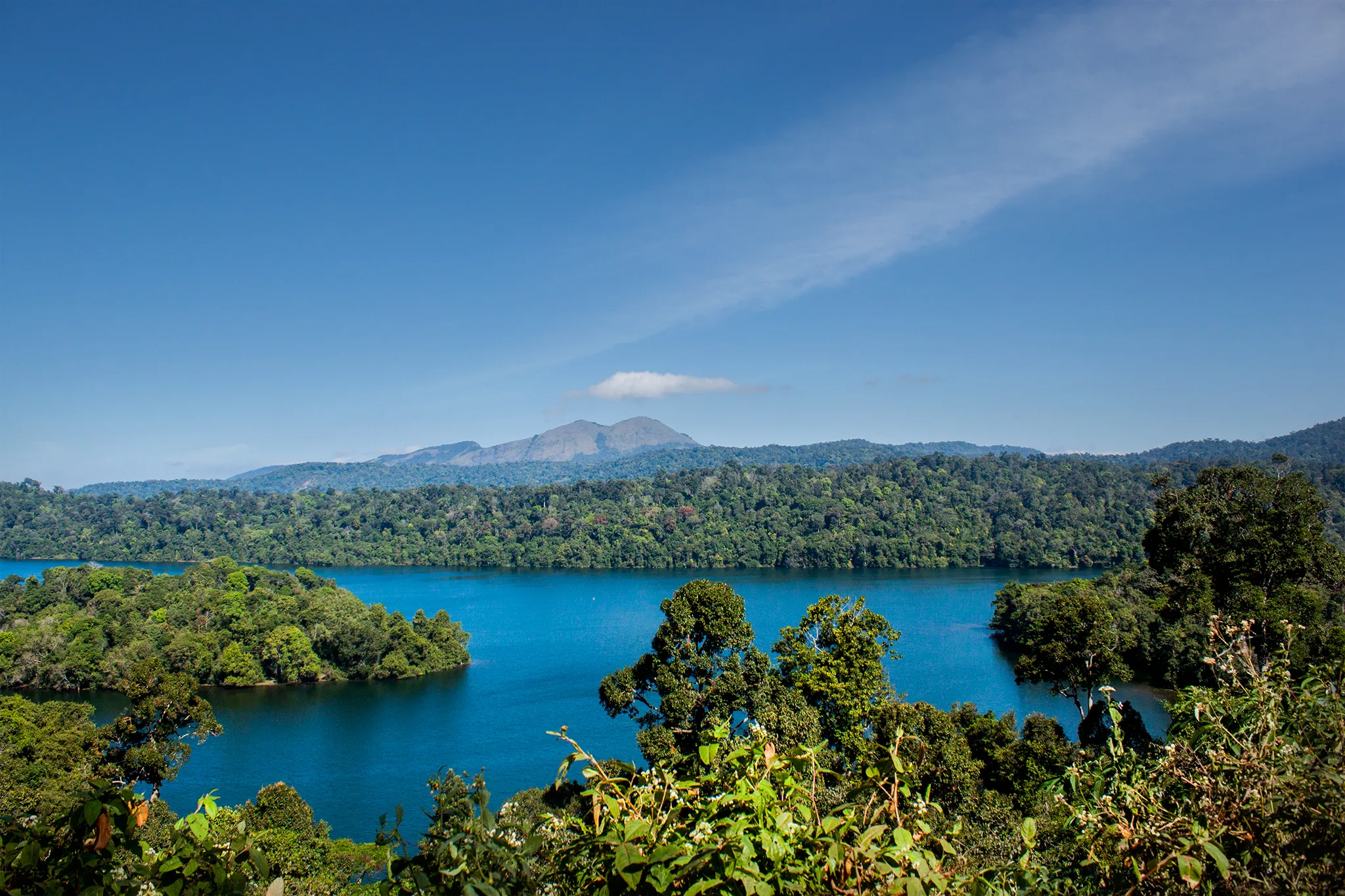Tholpetty Wildlife Sanctuary, Wayanad, Kerala